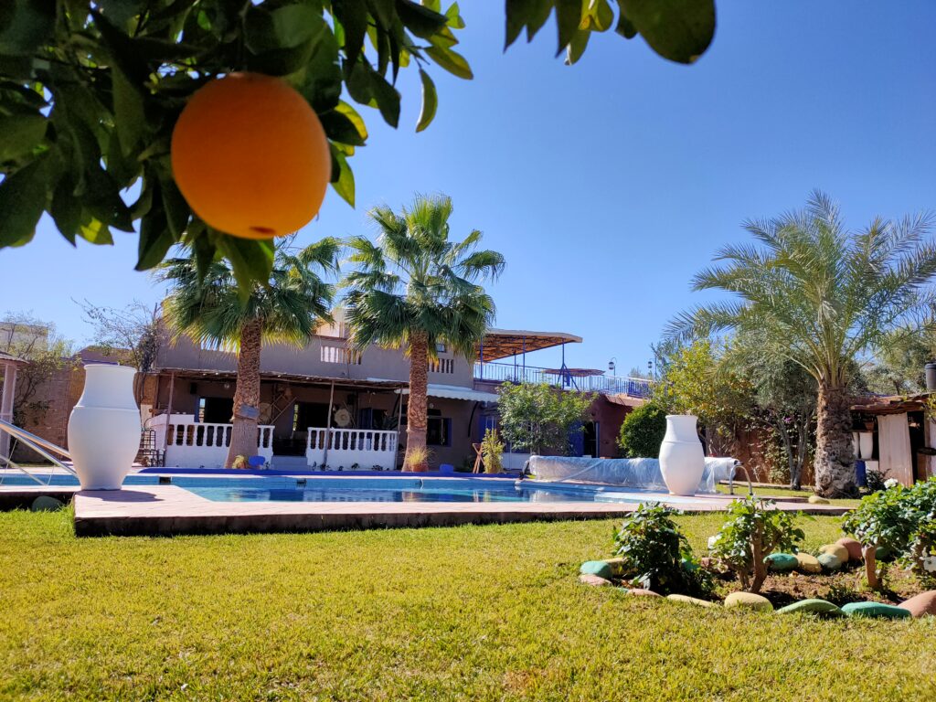 Arancio e giardino intorno alla piscina di Handioasis