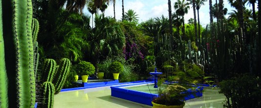 Majorelle Garden: colour and greenery in Marrakech — Handioasis Marrakech