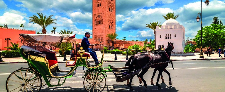 Marrakech en coche de caballos — Handioasis Marrakech