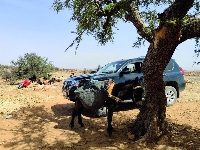 Escursioni in 4×4 nei dintorni di Marrakech — Handioasis Marrakech